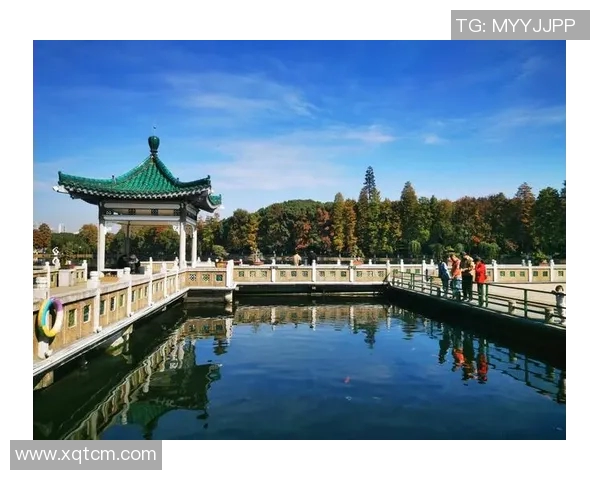 姚明汉口江滩的魅力与历史交融之旅探索武汉的文化与风景